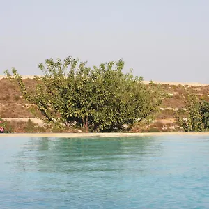 Agriturismo Leone Testa dellʼAcqua
